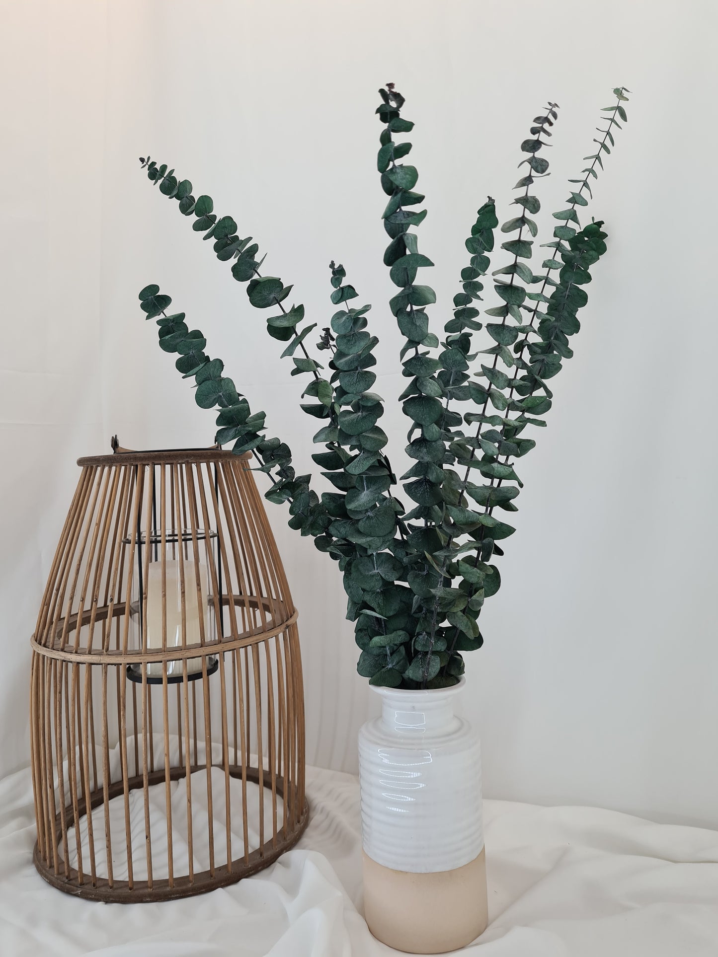 Green 'Baby Blue' Preserved Eucalyptus Bunch