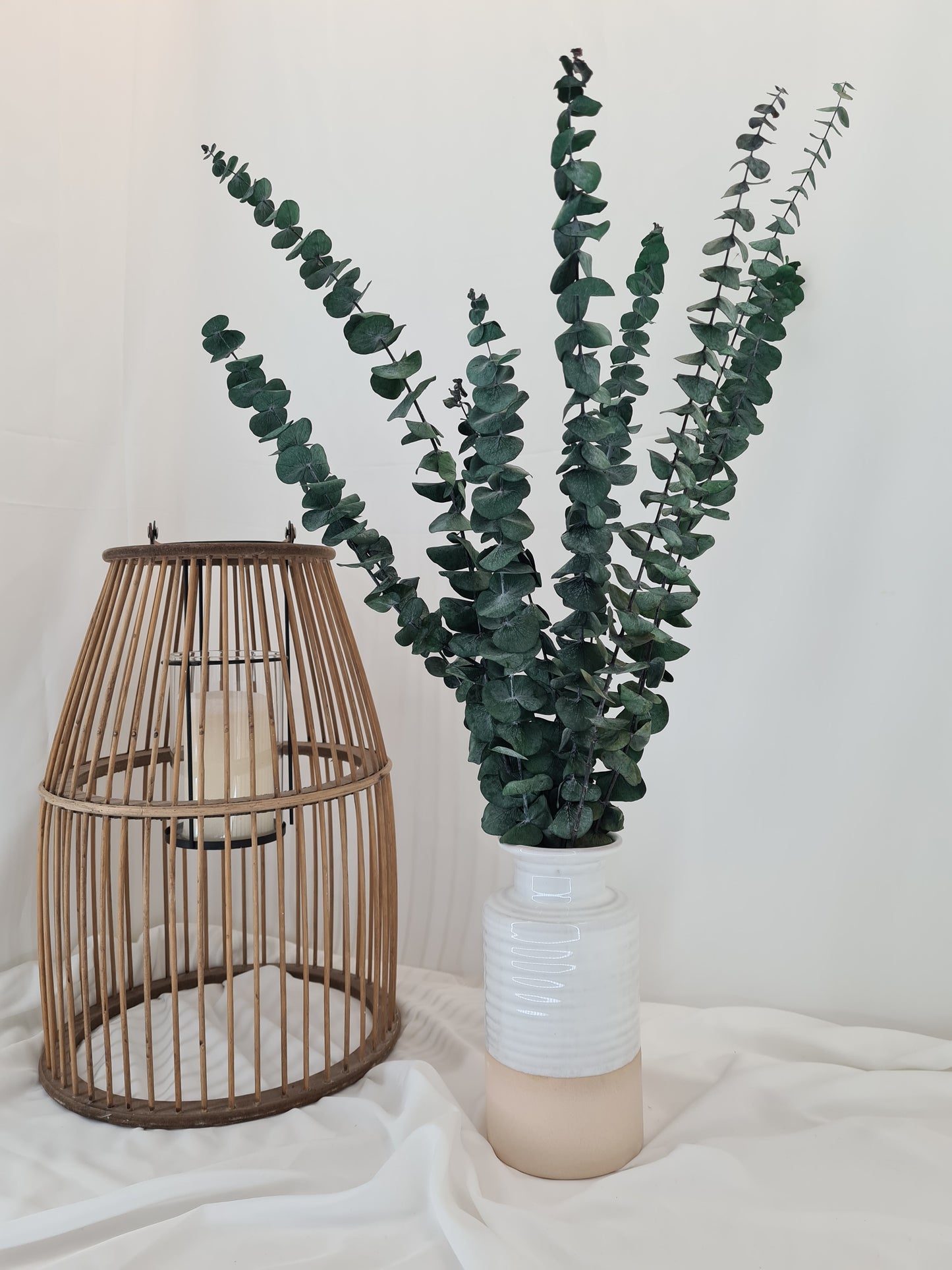 Green 'Baby Blue' Preserved Eucalyptus Bunch