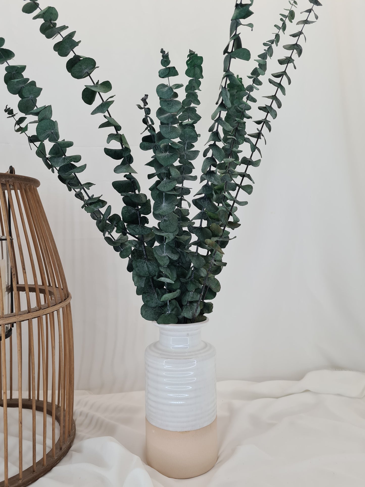 Green 'Baby Blue' Preserved Eucalyptus Bunch