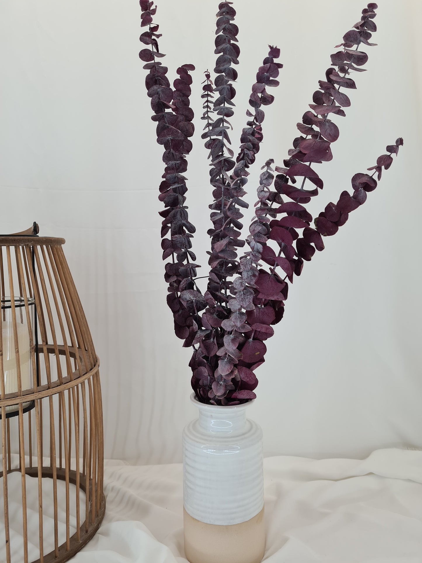 Red 'Baby Blue' Preserved Eucalyptus Bunch