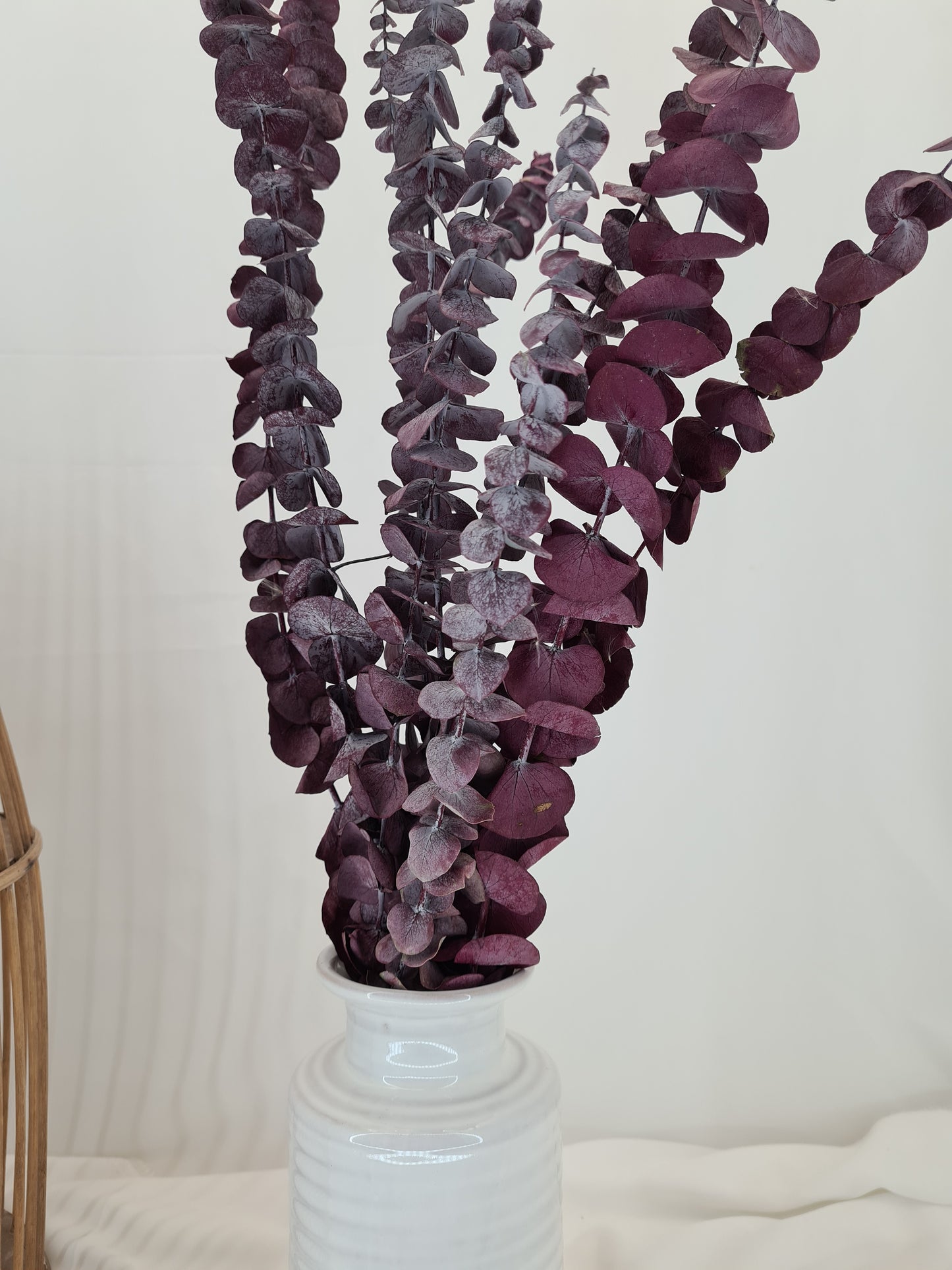Red 'Baby Blue' Preserved Eucalyptus Bunch