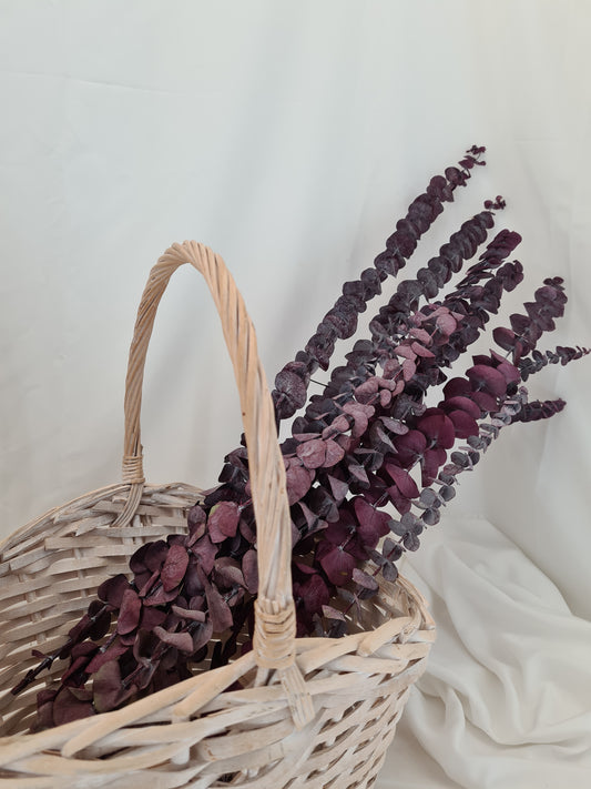 Red 'Baby Blue' Preserved Eucalyptus Bunch