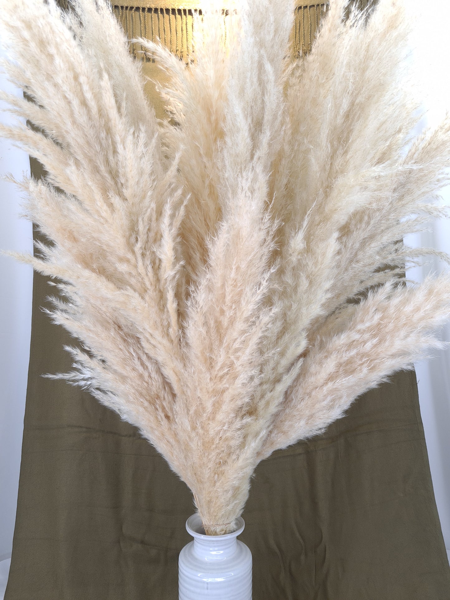 Fluffy Pampas Grass Stem(s)