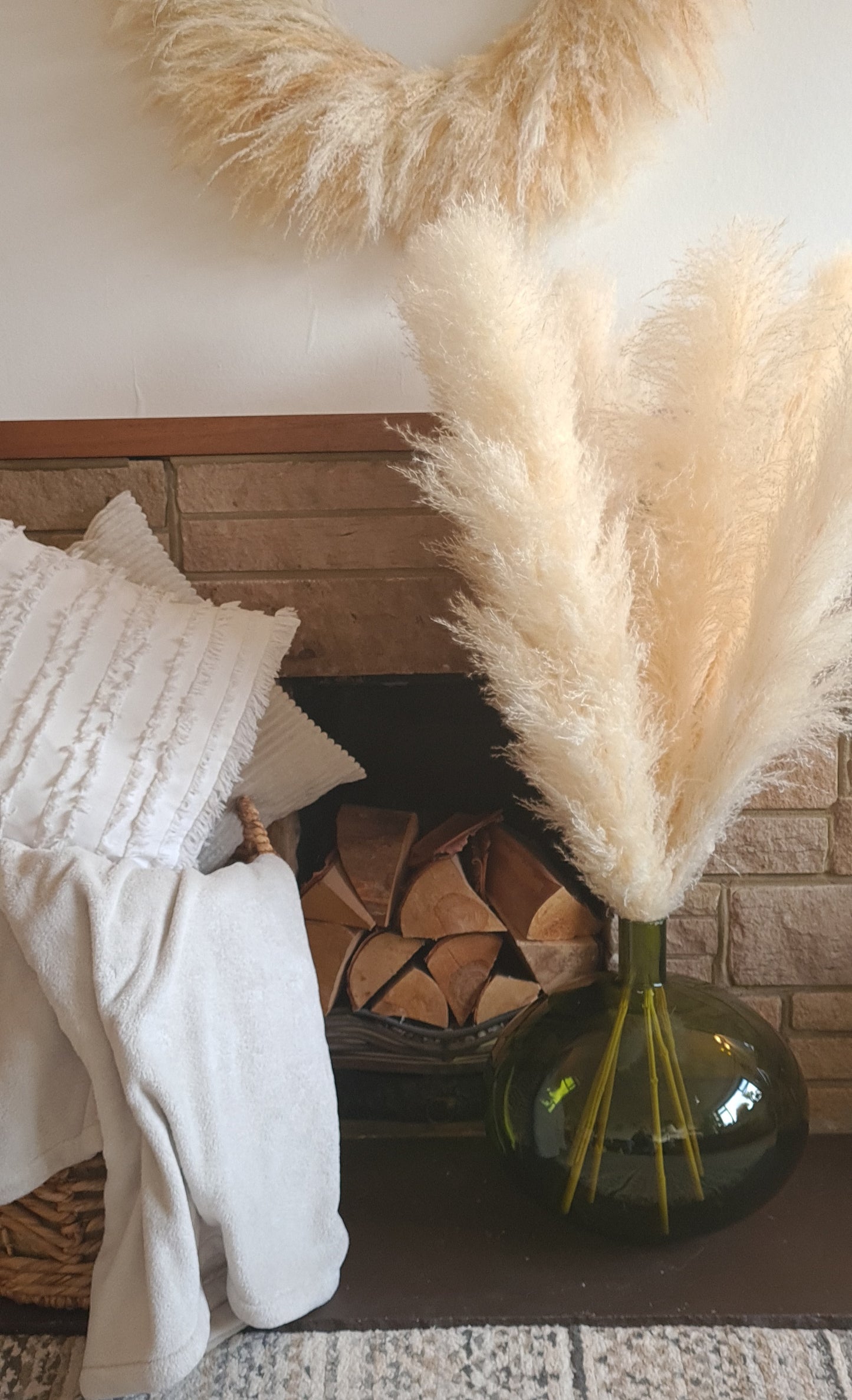 Fluffy Pampas Grass Stem(s)