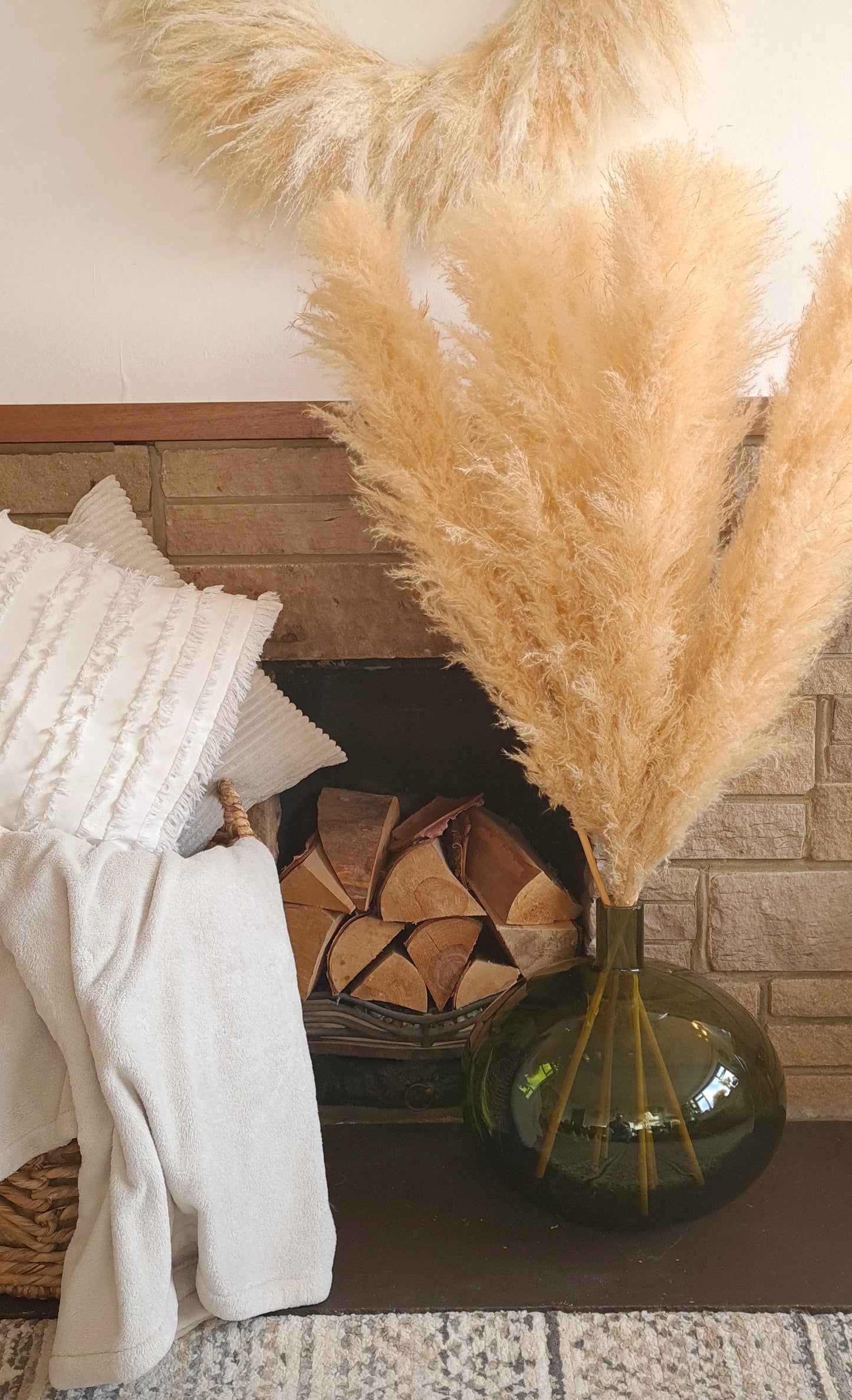 Fluffy Pampas Grass Stem(s)