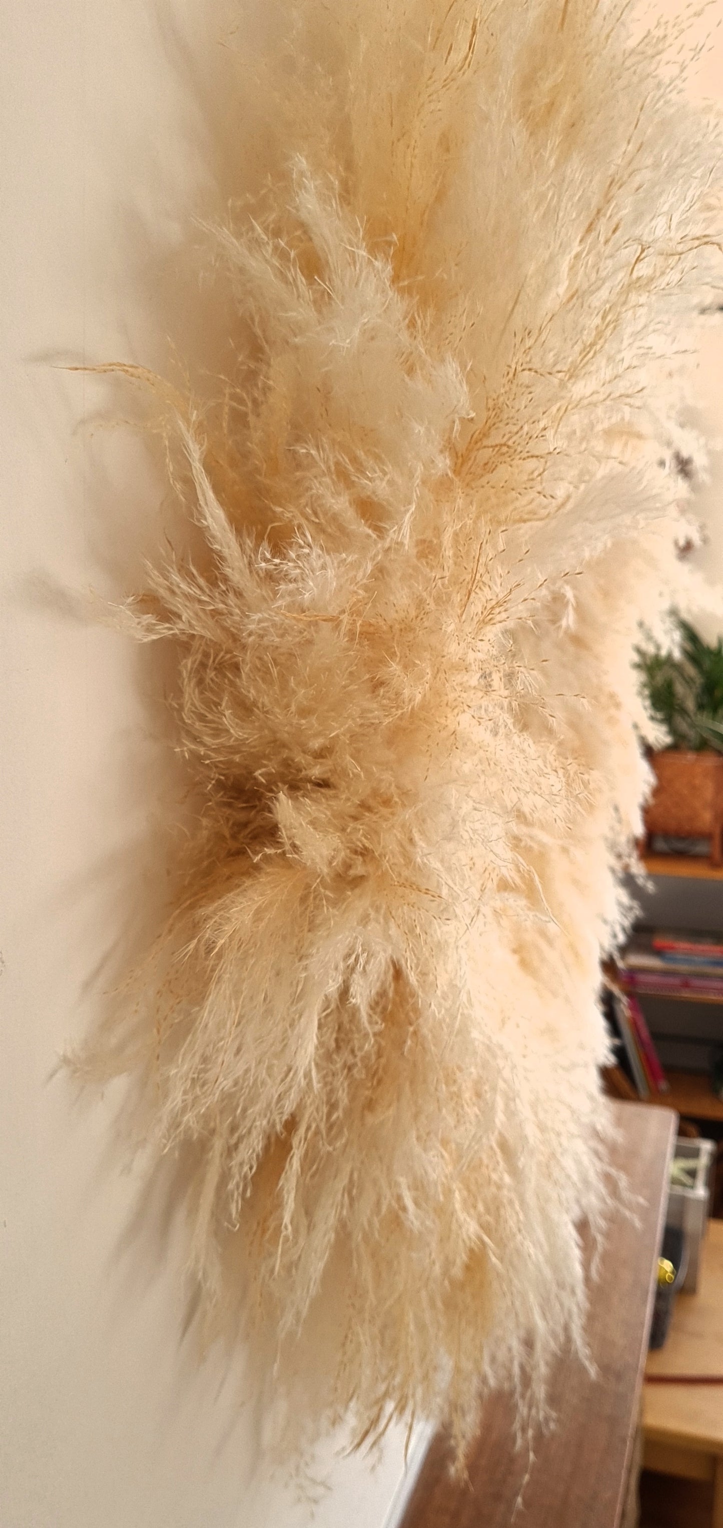 Pampas Grass Wreath