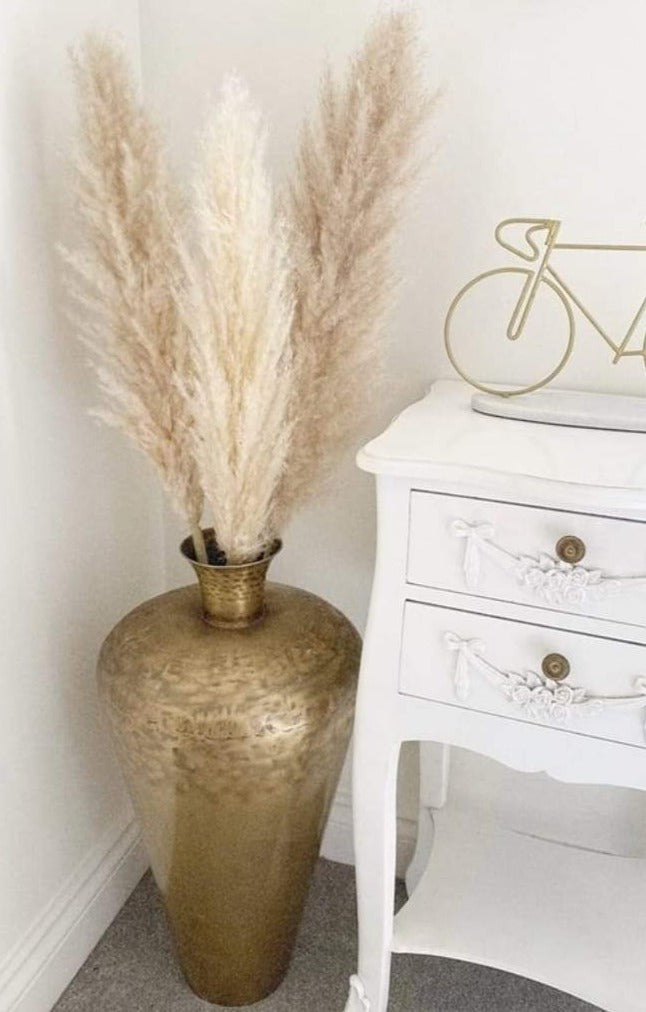 Fluffy Pampas Grass Stem(s)