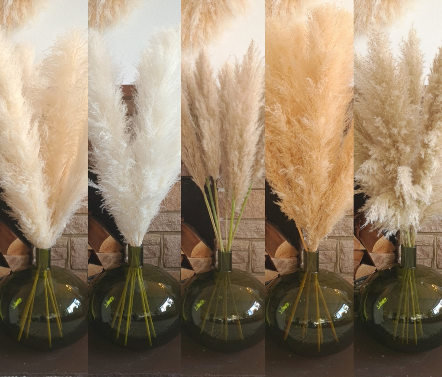 Fluffy Pampas Grass Stem(s)