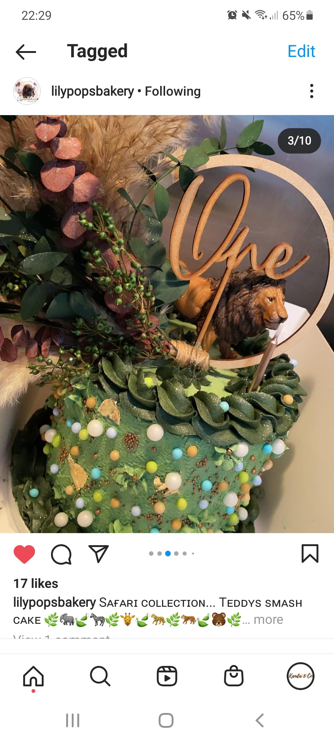 Safari Pampas cake topper wreath