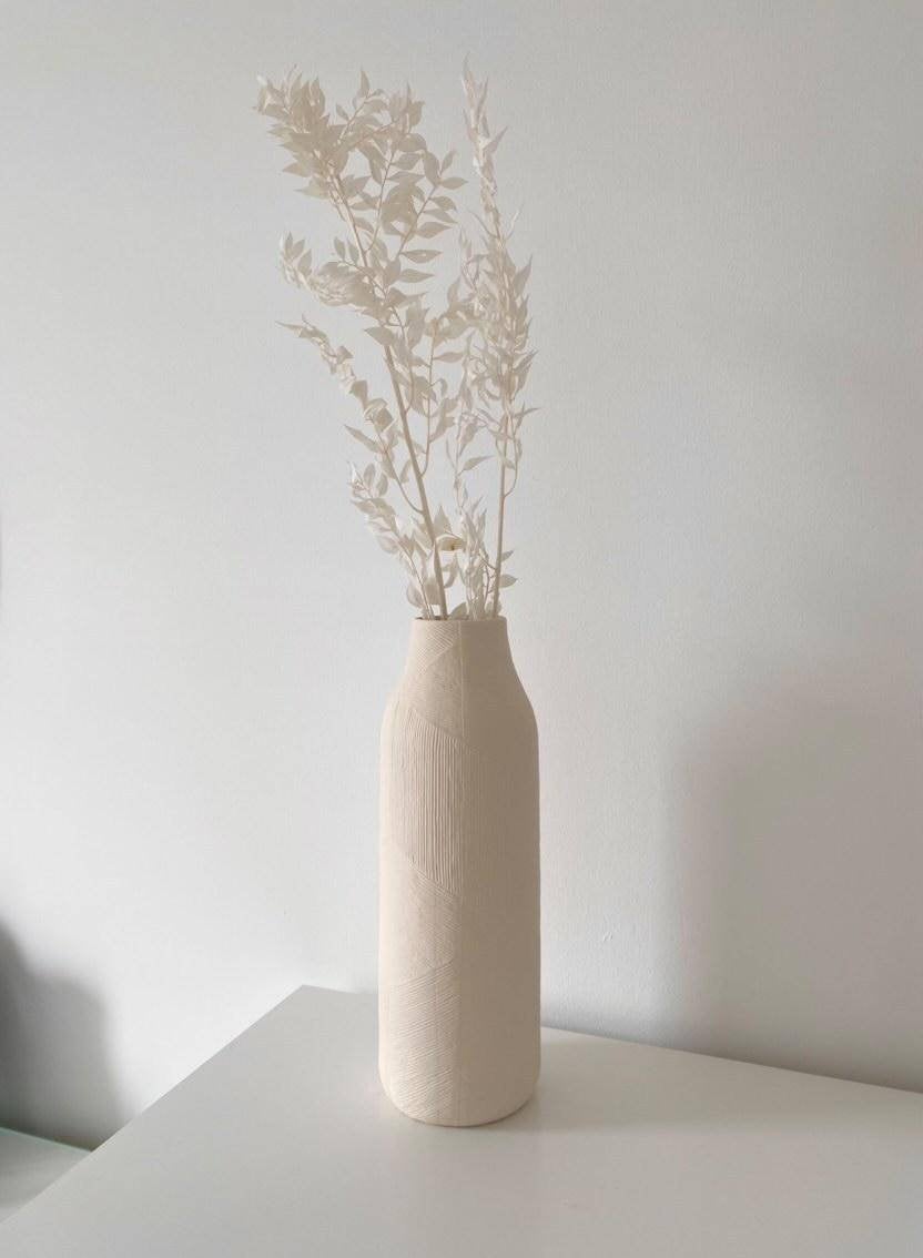 White Ruscus Stem