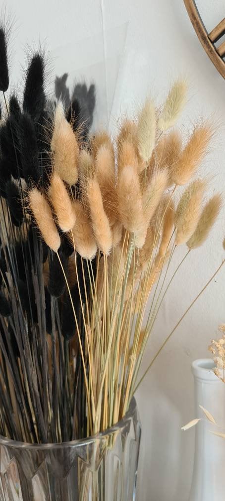50 Bunny Tails, 50-60cm