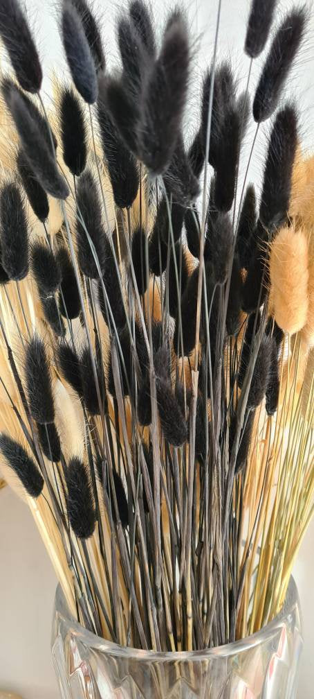 50 Bunny Tails, 50-60cm