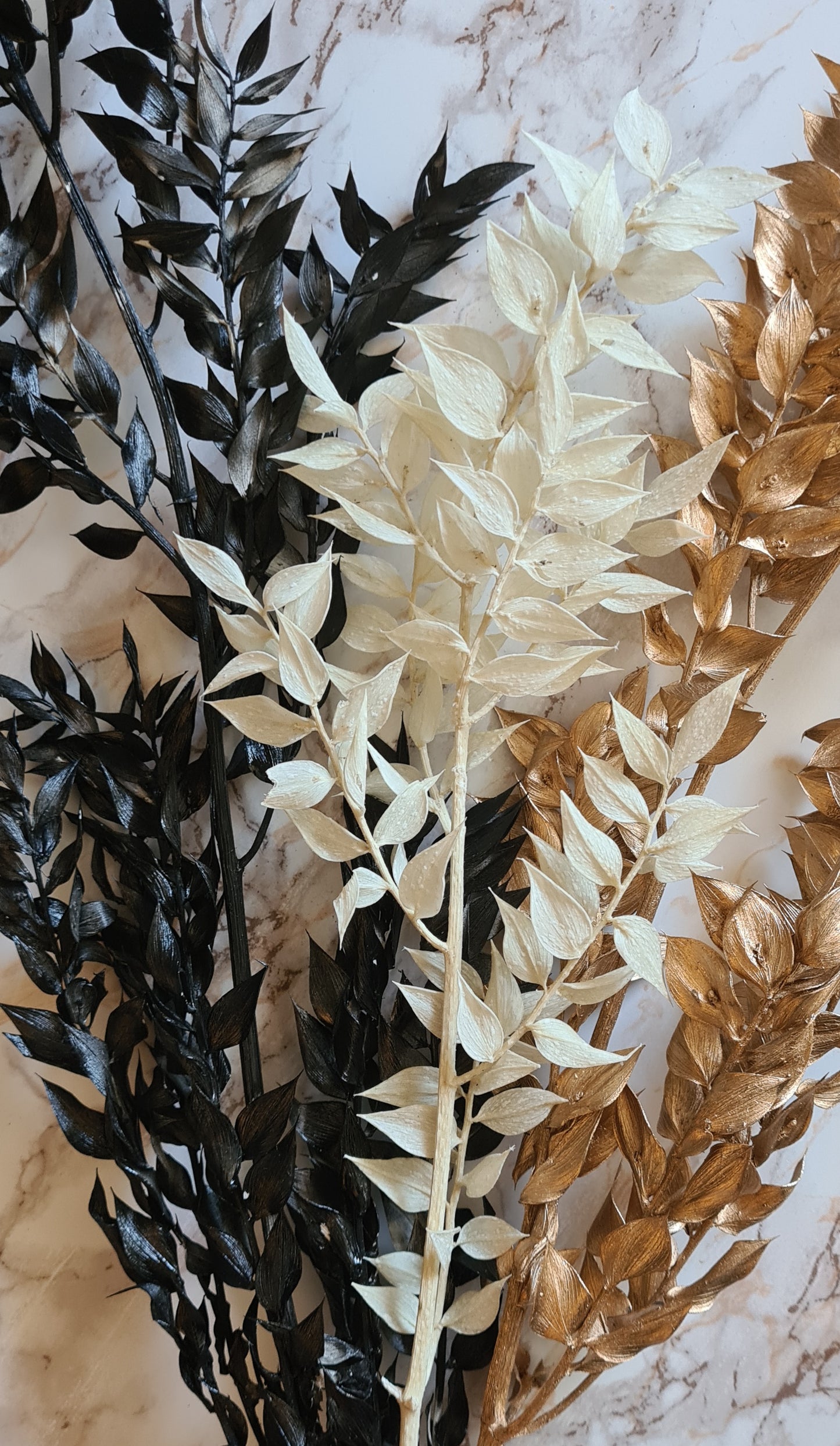 Gold / White / Black Ruscus Stems