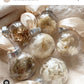 Pampas & Dried Flowers  Christmas baubles